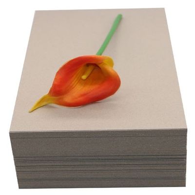 Schieferplatten, Asche und Schiefer