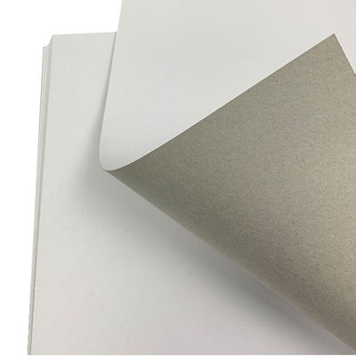 Kartonbleche weiß Beschichtet Graue Rückseite Großhandel 350 g C1s Weiß Duplex Pappe