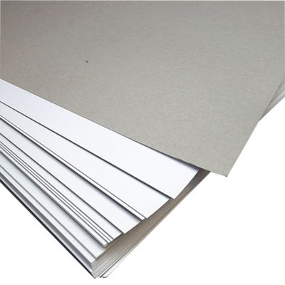 Graue Papierunterlage Rohstoff Duplexkarton Roll beschichtet Duplexpapierunterlage Graue Rückseite