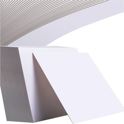Gc1 Gc2 Fbb C2s C1s Elfenbeinkarton Papierkarton Fbb Elfenbeinkarton Papierkuppen Rohstoff