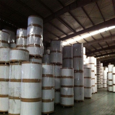 Weiße Elfenbeinpapierplatte SBS 230/250/300/350gsm C1S
