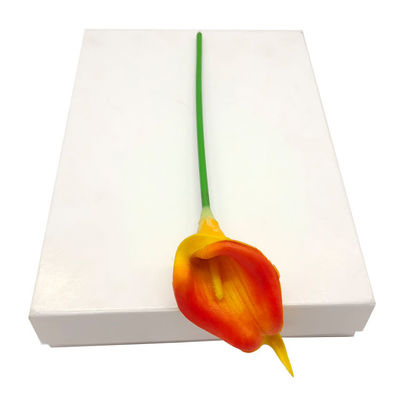 C1S FBB Elfenbeinkartonpapier 170 gm-400 gm Einseitig beschichtetes Papier Hersteller