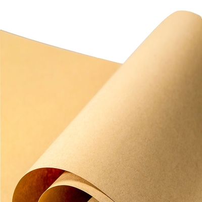 Öko-freundlich beschichtetes Kraftpapier CKB 200 gm-255 gm in Rollen