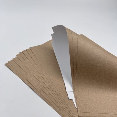 Beschichtung Farbe Weiß Top Kraft Liner Papier Jumbo Roll mit PE Beschichtung Material erschwinglich