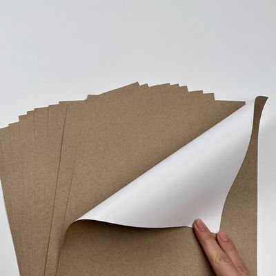 Beschichtung Farbe Weiß Top Kraft Liner Papier Jumbo Roll mit PE Beschichtung Material erschwinglich
