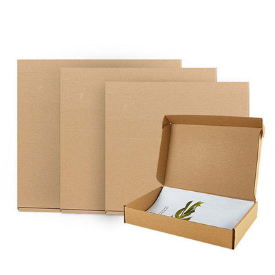 Verpackung Benutzerdefiniertes Logo gedruckte Wellkartonbox Mailer Versandkartonbox